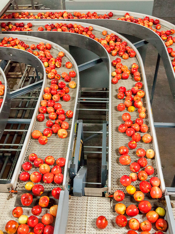 Industria Alimentaria